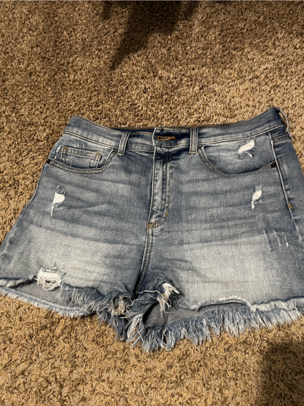 Altar'd State Light Wash Distressed Frayed Hem Denim Shorts
